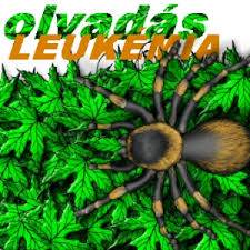 Leukémia (HUN) : Olvadás - Live in Miskolc 1992